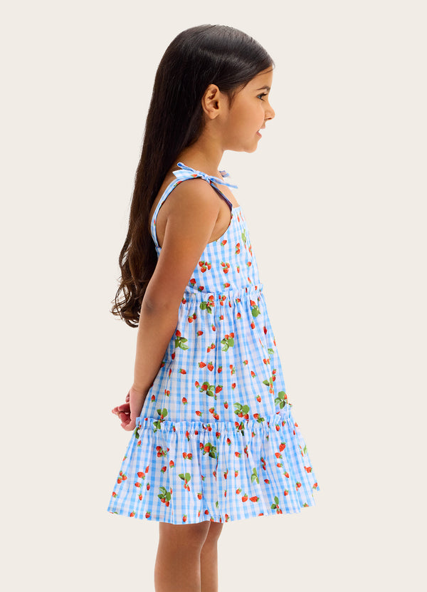 Beach Picnic Tiered Dress
