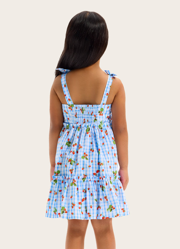 Beach Picnic Tiered Dress