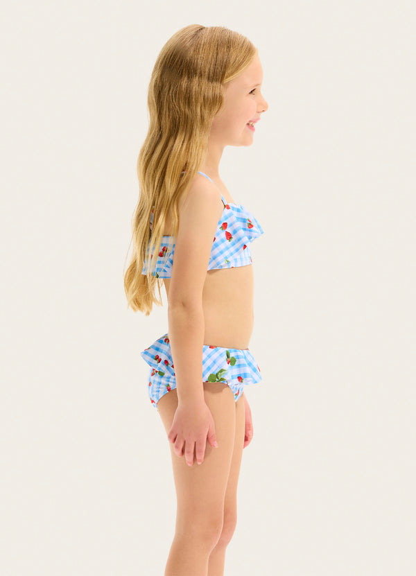 Beach Picnic Bikini Set