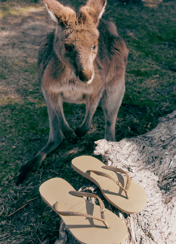 Seafolly X Havaianas Slim Thongs