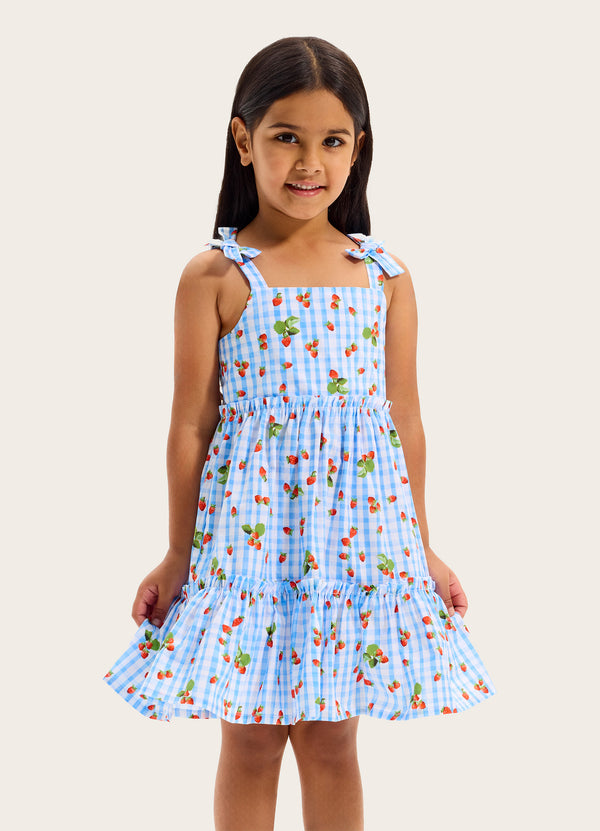 Beach Picnic Tiered Dress
