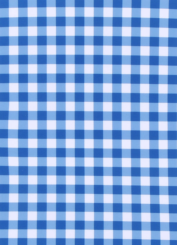 Gingham Bikini - Blue Lottie